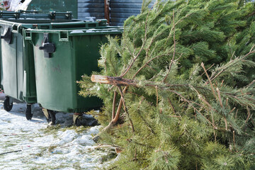 Post holiday, discarded Christmas tree restss near trash cans, its festive spirit now replaced by...