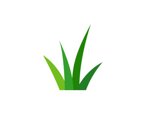 Green grass. Gazon. Vector icon. web version. - 716993551