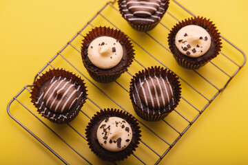 Mini white and dark chocolate cupcakes with baking rack