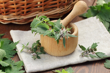 Motherwort fresh leaves in mortar on rustic wooden background, closeup, copy space, green medicine, heart desease care, menstrual and menopausal treatment concept