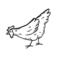 svg chicken doodle element set