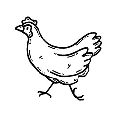 svg chicken doodle element set