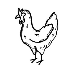svg chicken doodle element set