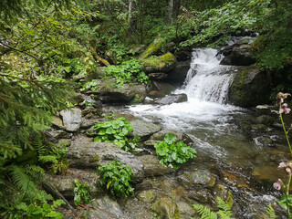 Waterfall in the forest. beautiful forest with a magical view. Tourist destination. A natural landmark.