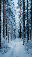 Winter forest a lot of snow capped mountain UHD wallpaper