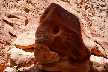 elephant rock in desert