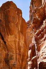 red canyon