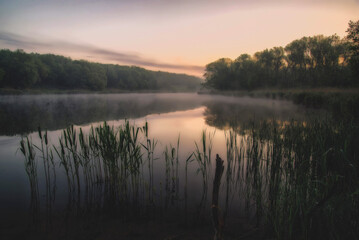 Fototapeta na wymiar Sunset on the pond near Rostov on Don. Rostov on Don. Russia. May 2015.