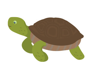 Turtle. Flat vector illustration. Elements suitable for animation. 