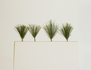Pine branches with a note on the white background. Minimal organic, natural concept. Flat lay. Copy space.