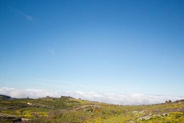 Primavera en Canarias