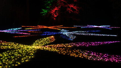 Mainau, Germany - December 27, 2023: A Christmas garden is a Christmas event with beautiful light...