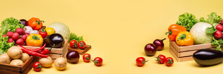 Many different vegetables on a yellow background. Potatoes, tomatoes, eggplant, lettuce, radishes, peppers, onions and cabbage. Horizontal photo.
