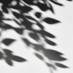 Shadow overlay effect of tree and leaves.