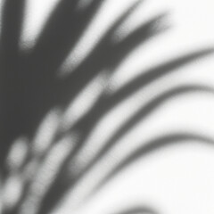 Shadow overlay effect of tree and leaves.