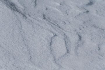 Fototapeta na wymiar the photo shows the texture of snow