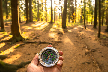 The compass in the hands of the traveler, forest