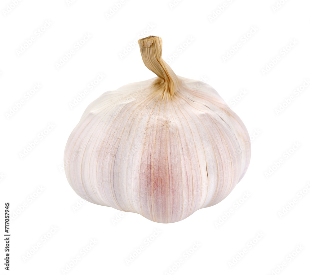 Canvas Prints Garlic transparent png