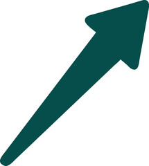 arrow icon
