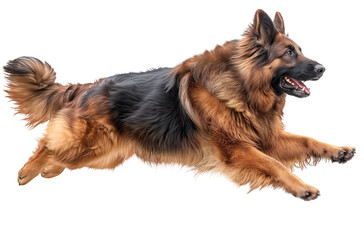 German shepherd jumping in the air, dog running and chasing prey, isolated on transparent background - Powered by Adobe