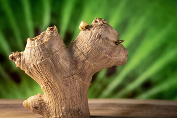 A dry ginger root is photographed in close-up on a beautiful background