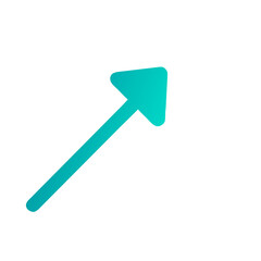 arrow icon