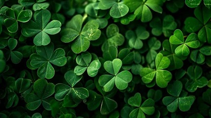 Foto op Plexiglas Real clover leaves for St. Patrick's Day. Selective focus. © Erik