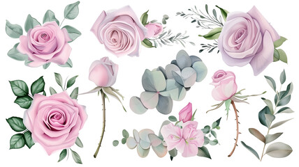 Watercolor elements pink roses, flowers, leaves, eucalyptus, branches set collection for wedding stationary, invitation card, greeting, wallpaper, fashion, isolated on transparent background - obrazy, fototapety, plakaty