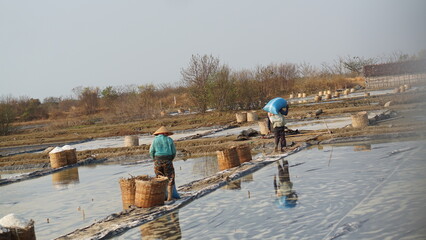 Old Asian man works at a salt evaporation pond in Jepara, Central Java, Indonesia