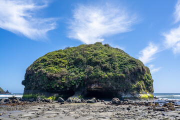 A Rocky Outcrop on a Beach Covered in foliage and Plants on Chiloe Island with the Pacific Ocean in...