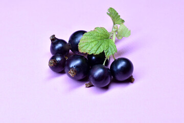 Dark colored currants on a lilac background.
