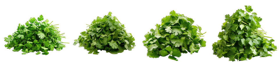 Coriander  Spices Pile Of Heap Of Piled Up Together Hyperrealistic Highly Detailed Isolated On Transparent Background Png File