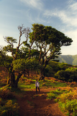 Fototapeta premium Persona paseando sobre un bosque centenario