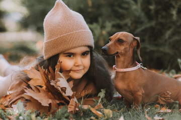Cute little brunette girl walks in autumn with a dachshund dog in the park
