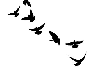 Flying birds silhouette flock. hand drawing. Not AI, Illustrat3 . Vector illustration