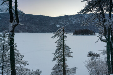 View out of the forest to the Eibsee Bridge during winter season