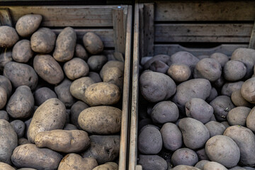 Two varieties of potatoes in paper boxes for sale, yellow and red potatoes