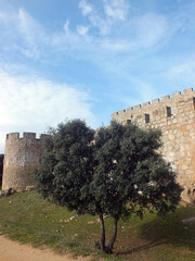 Castillo de la Adrada en la provincia de Ávila