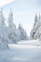 Mountains frozen forest, świeradów zdrój, krajobraz zimowy 