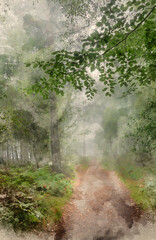 Digital watercolour painting of Stunning foggy forest late Summer landscape image with glowing mist in distance among lovely dense woodland