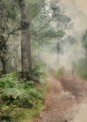 Digital watercolour painting of Stunning foggy forest late Summer landscape image with glowing mist in distance among lovely dense woodland