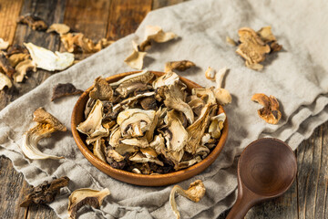 Organic Raw Dried Mushrooms