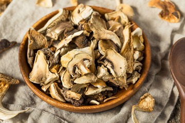 Organic Raw Dried Mushrooms