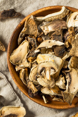Organic Raw Dried Mushrooms