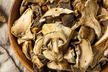 Organic Raw Dried Mushrooms