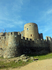 Fototapeta na wymiar Castillo de La Adrada