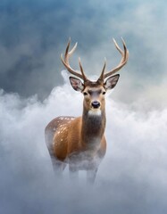 A big beautiful Deer emerges from the white fog.