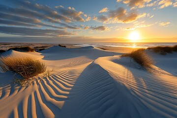 Panorama landscape of sand dunes system on beach at sunrise - obrazy, fototapety, plakaty