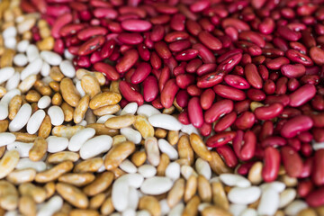 White and Brown Beans and Red Beans Wallpaper Background
