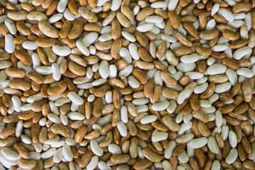 White and Brown Beans Wallpaper Background
